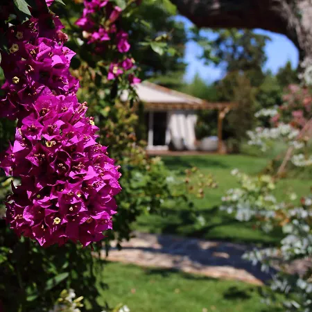 La Bastide Des Salins Hotel Saint-Tropez